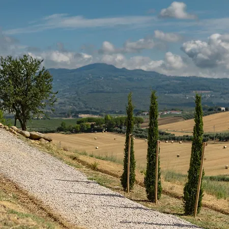 Poggio Piero 1 By Interhome * Montemassi