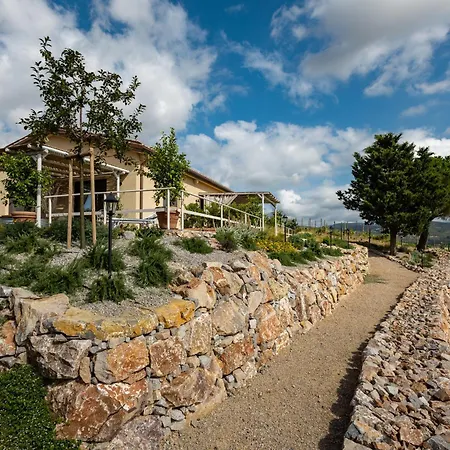 Poggio Piero 1 By Interhome * Montemassi